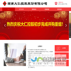 湖南大仁控股股份有限公司